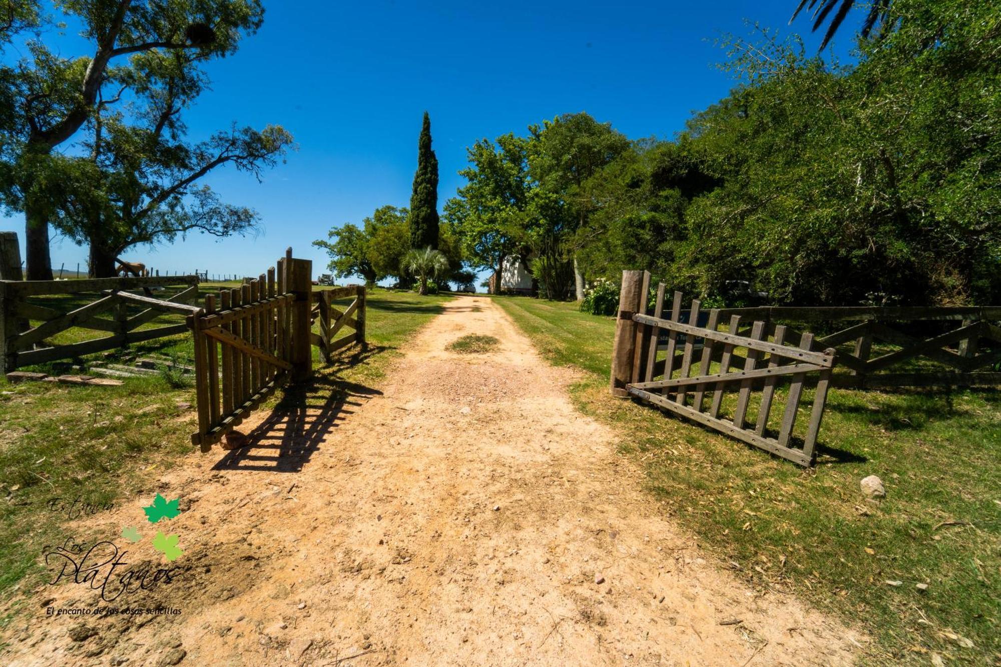 Estancia Los Platanos Valentines Luaran gambar