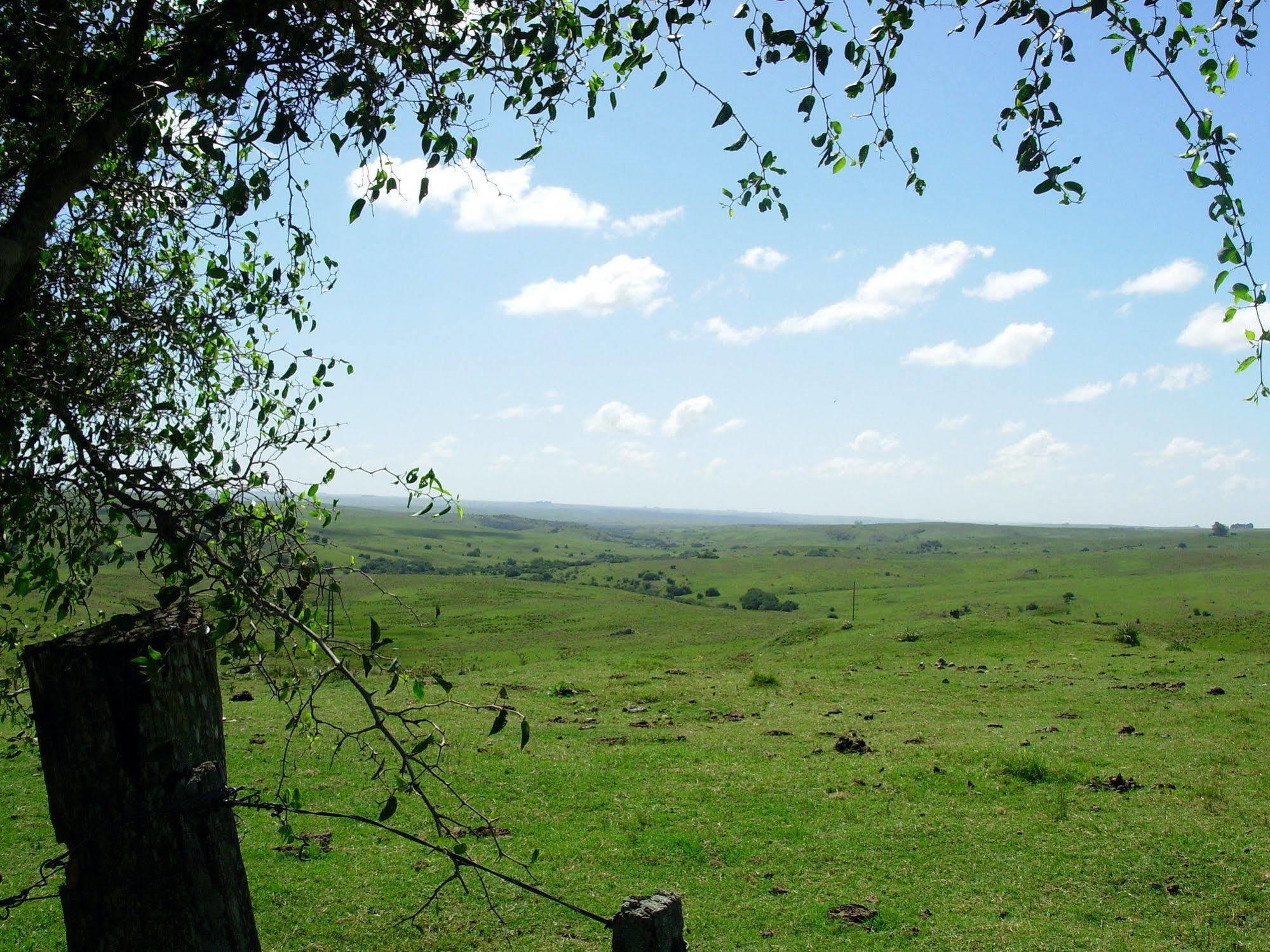 Estancia Los Platanos Valentines Luaran gambar